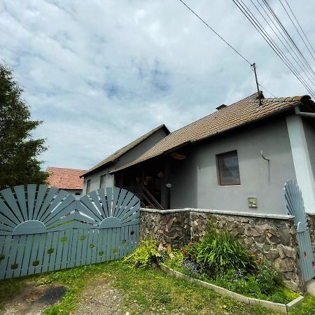 Casa De Oaspeti Cristina Fitod Экстерьер фото