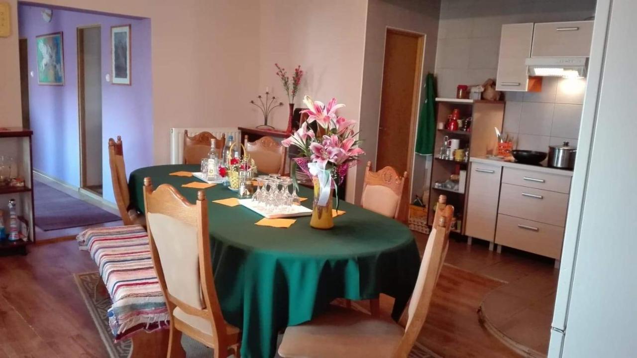 Casa De Oaspeti Cristina Fitod Экстерьер фото