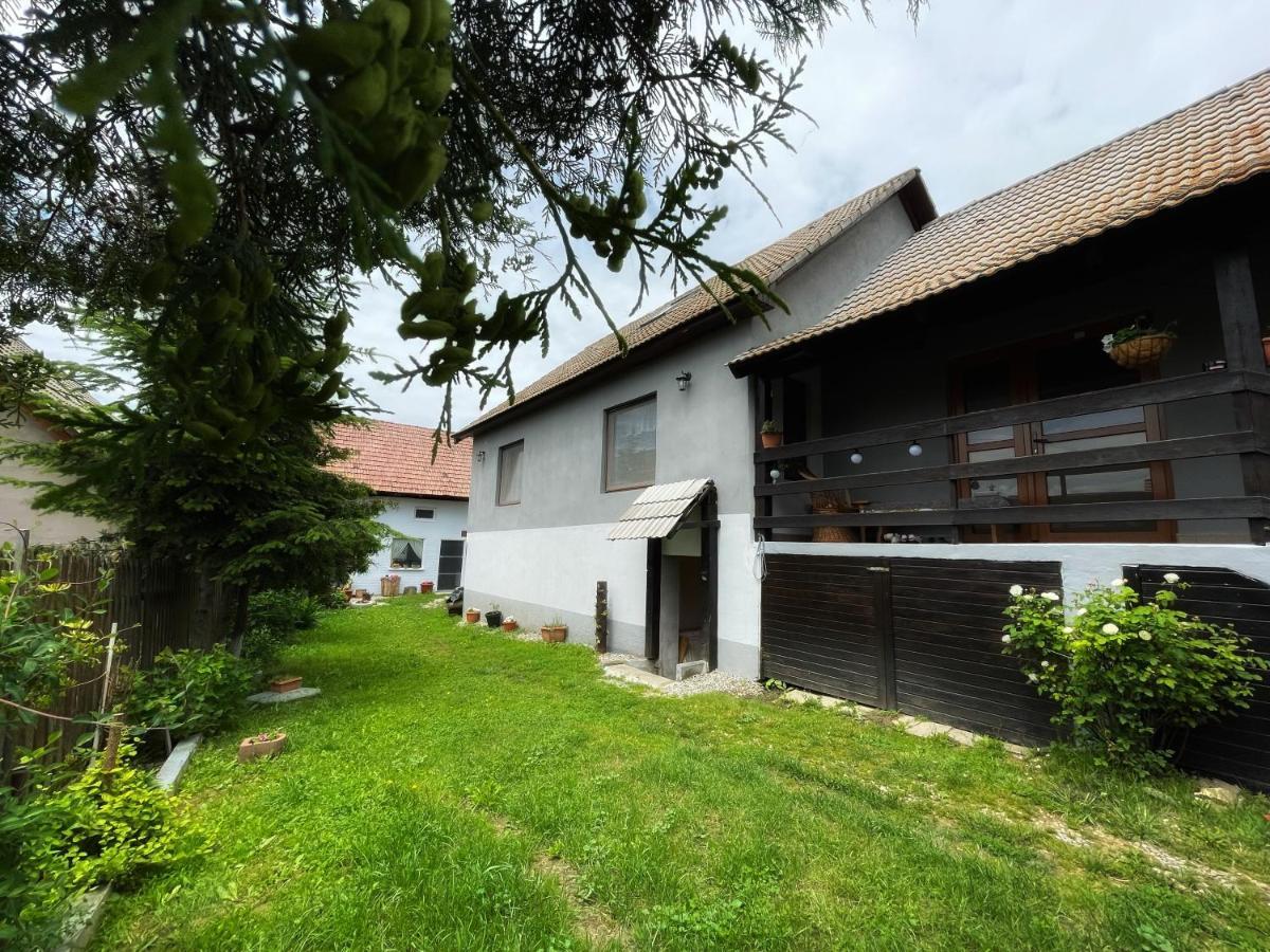 Casa De Oaspeti Cristina Fitod Экстерьер фото