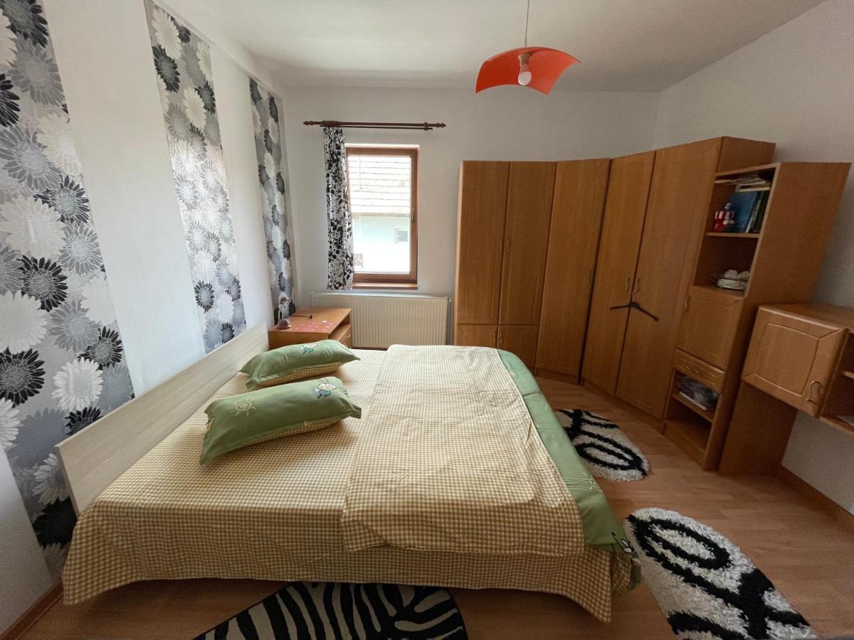 Casa De Oaspeti Cristina Fitod Экстерьер фото
