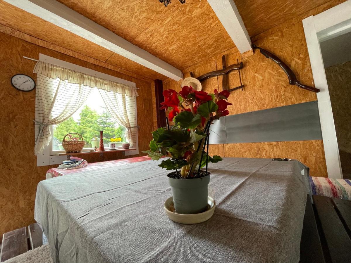 Casa De Oaspeti Cristina Fitod Экстерьер фото